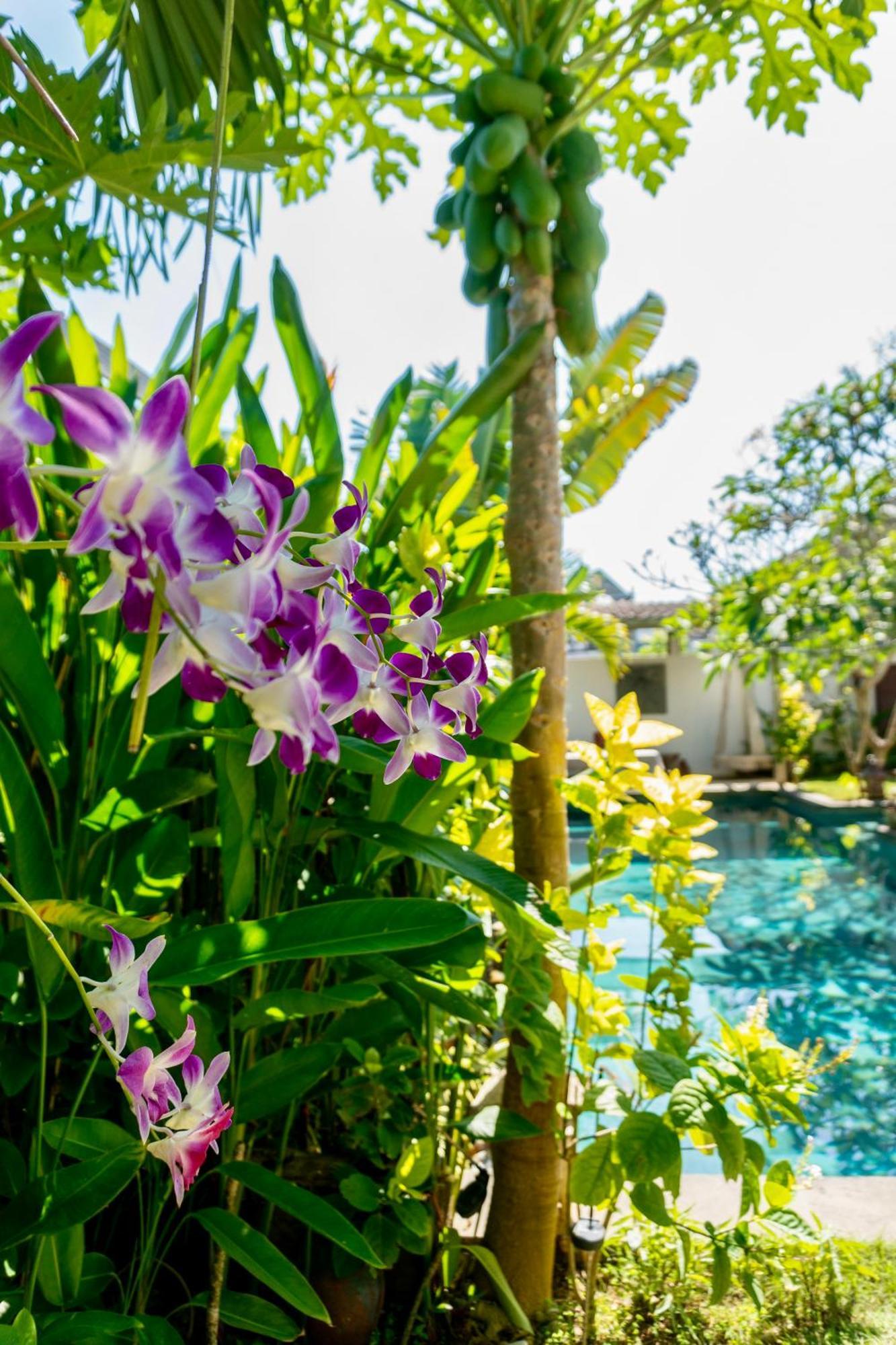 ホテル Damai Uluwatu エクステリア 写真